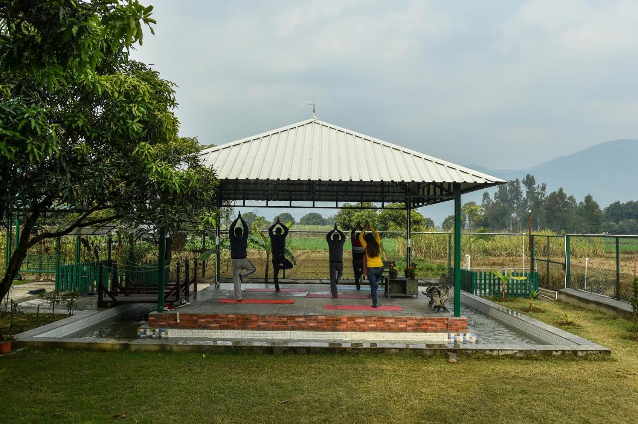 Sukoon - A Wellness Resort, Uttarakhand Chuharpur Exteriér fotografie