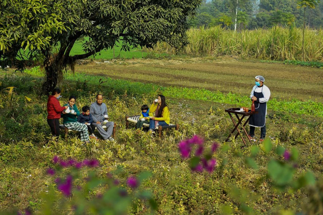 Sukoon - A Wellness Resort, Uttarakhand Chuharpur Exteriér fotografie