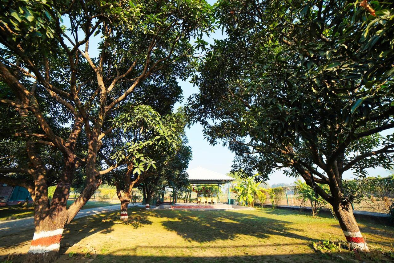 Sukoon - A Wellness Resort, Uttarakhand Chuharpur Exteriér fotografie